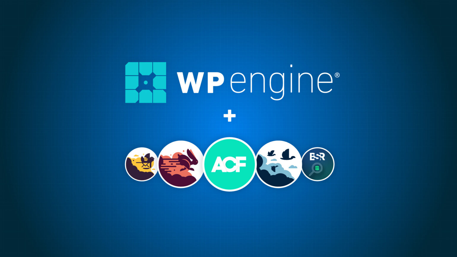 Buy Wp Engine Now