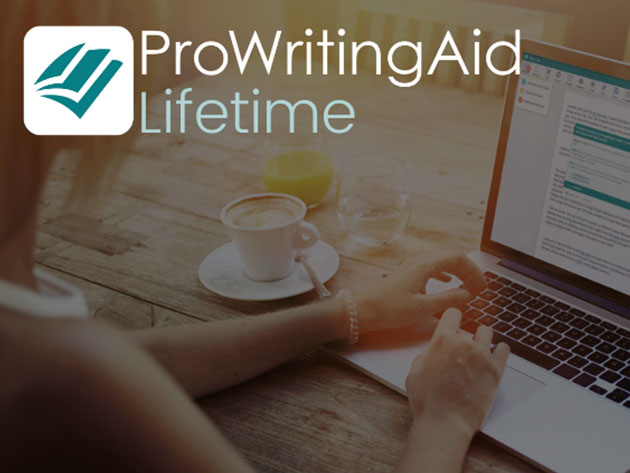 Prowritingaid Lifetime Deal